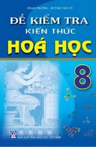 Đề kiểm tra kiến thức Hoá học 8