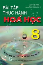 Bài tập thực hành Hoá học 8