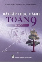 Bài tập thực hành Toán 9 - Tập 1