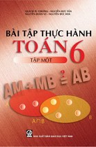 Bài tập thực hành Toán 6 - Tập 1