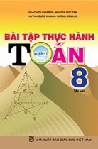 Bài tập thực hành Toán 8 - Tập 2