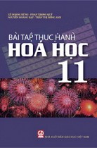 Bài tập thực hành Hoá học 11