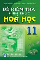 Đề kiểm tra kiến thức Hoá học 11