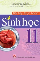 Bài tập thực hành Sinh học 11